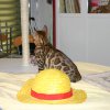 050416_sans titre_041-106